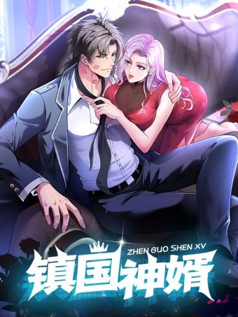 镇国神婿.jpg