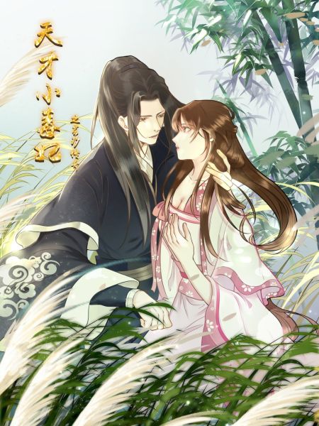 File:天才小毒妃之芸汐传奇.jpg