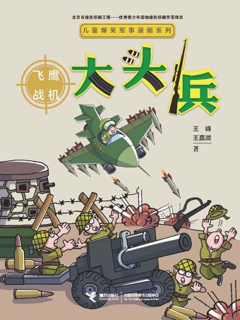 大头兵·飞鹰战机.jpg