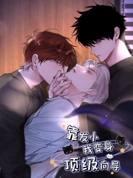 File:靠发小我变身顶级向导.jpg
