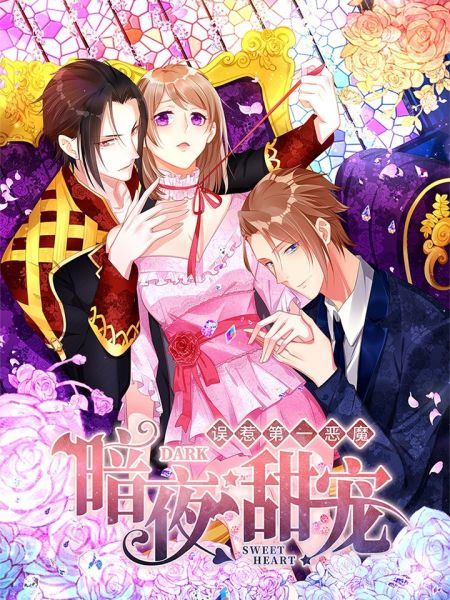 File:暗夜甜宠:误惹第一恶魔.jpg