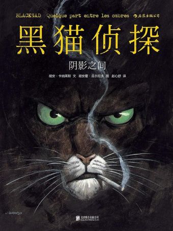 黑猫侦探：阴影之间.jpg