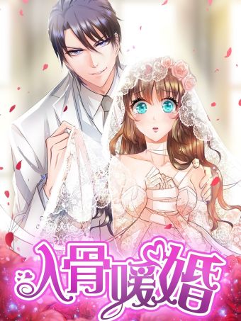 入骨暖婚.jpg