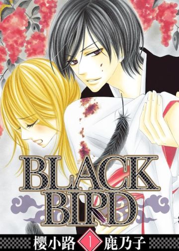 BLACK BIRD~黑鸟恋人-.jpg
