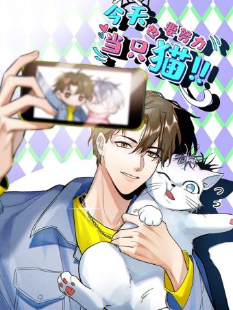 今天也要努力当只猫.jpg