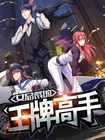 女总裁的王牌高手.jpg