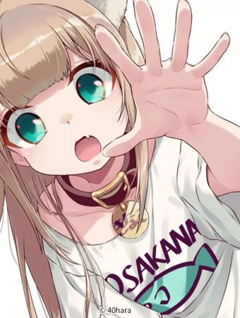 我家的猫猫是可爱的女孩子.jpg