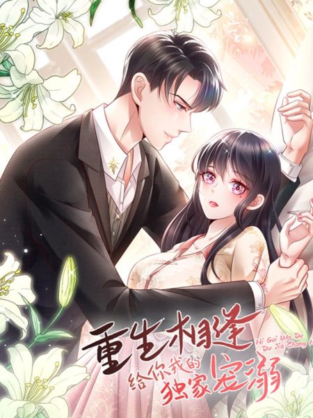 File:重生相逢:给你我的独家宠溺.jpg