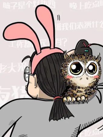 猫头鹰睡不着.jpg