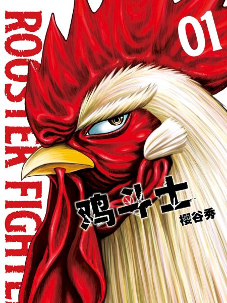 File:鸡斗士.jpg