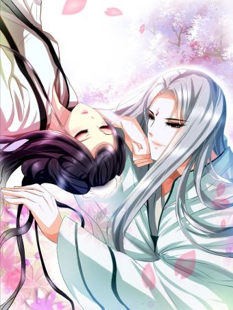 魔妃嫁到.jpg