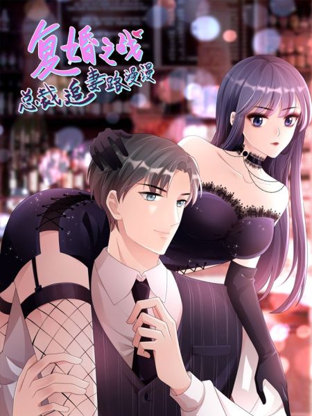 File:复婚之战:追妻路漫漫.jpg